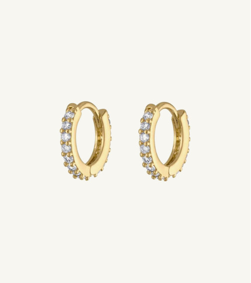 Solid Gold Medium Hoop Earrings