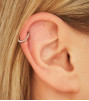 Cartilage Earrings